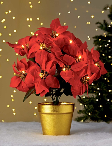 LED Poinsettia