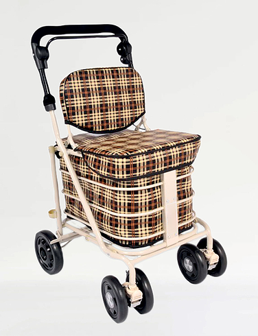 4 Wheel Regal Shopper with Seat and Backrest